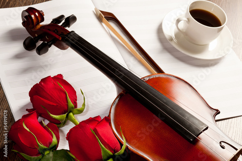 Red roses and a violin