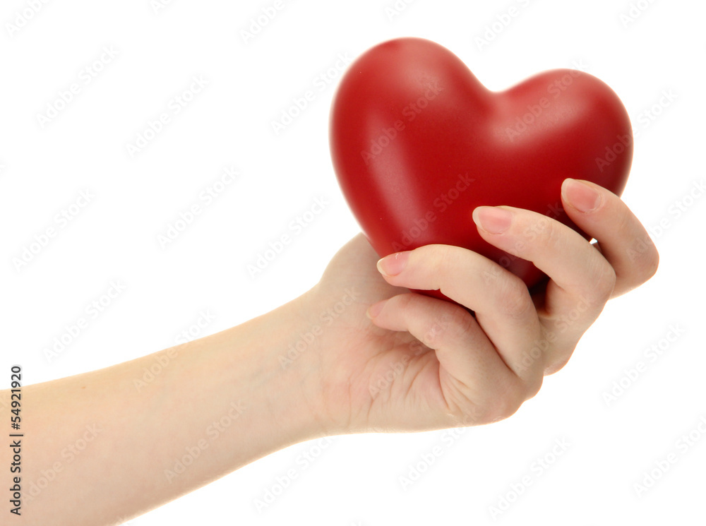 Red heart in woman hand, isolated on white Red heart in woman hand, isolated on white