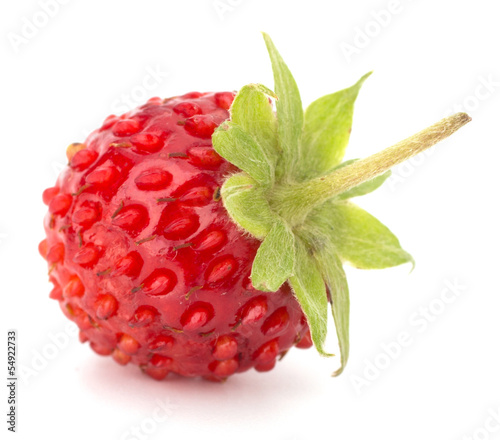 Obraz na płótnie Wild strawberry isolated on white background closeup
