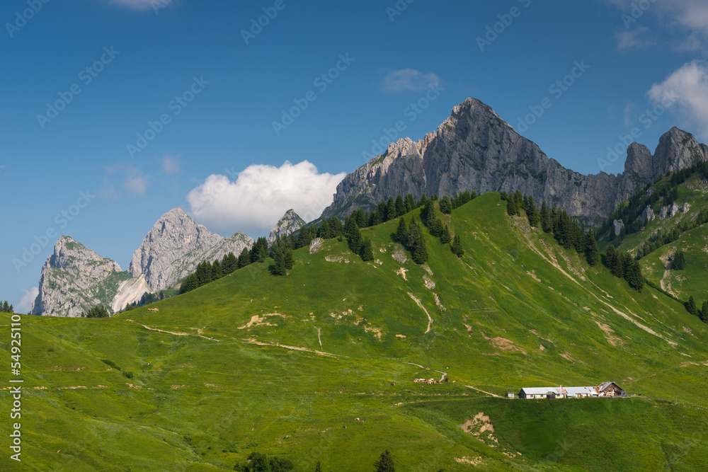 some mountain peaks in tyrol with green meadow