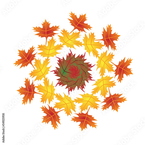 Herbstblätter