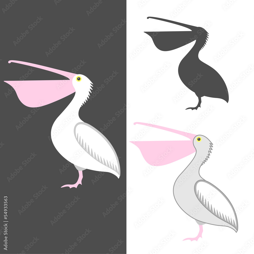 Obraz premium Pelican