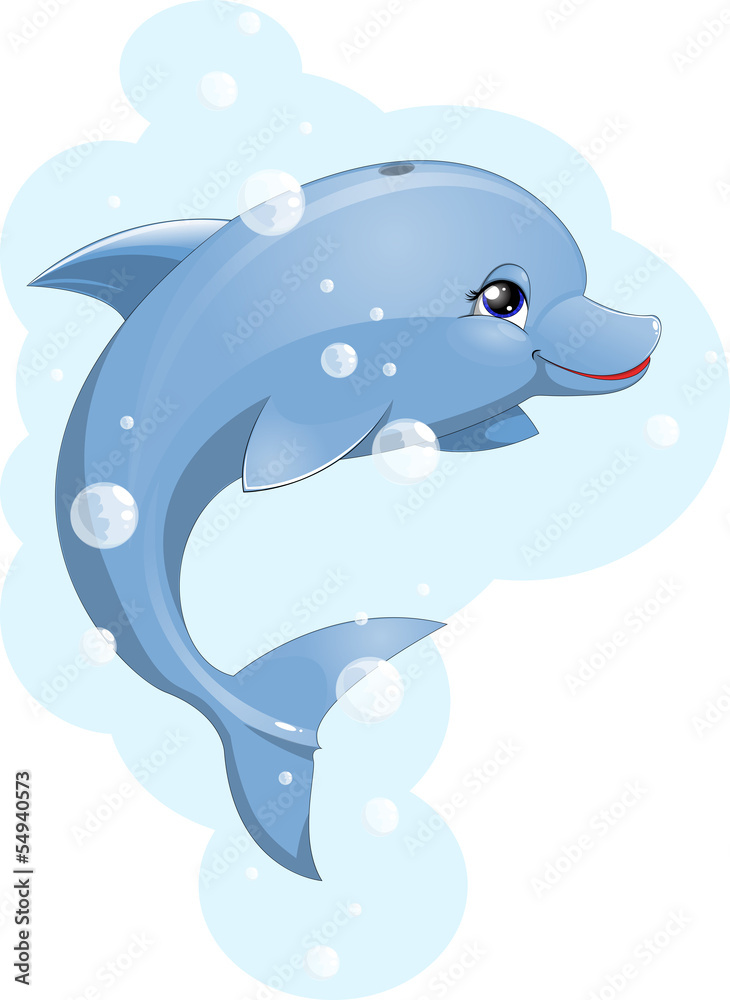 Obraz premium dolphin