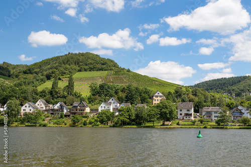 Houses and vineyards along river Moselle in Germany