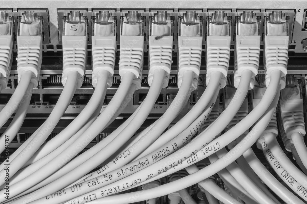 Fototapeta premium network cables connected to switch