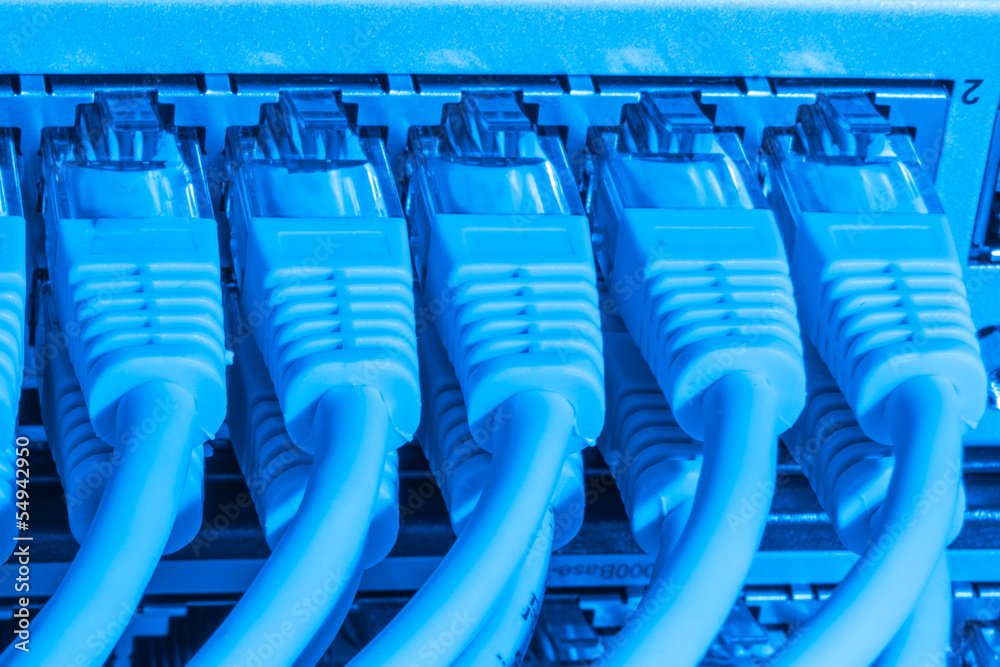 Fototapeta premium network cables connected to switch