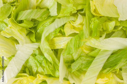 The texture of the leaves of salad