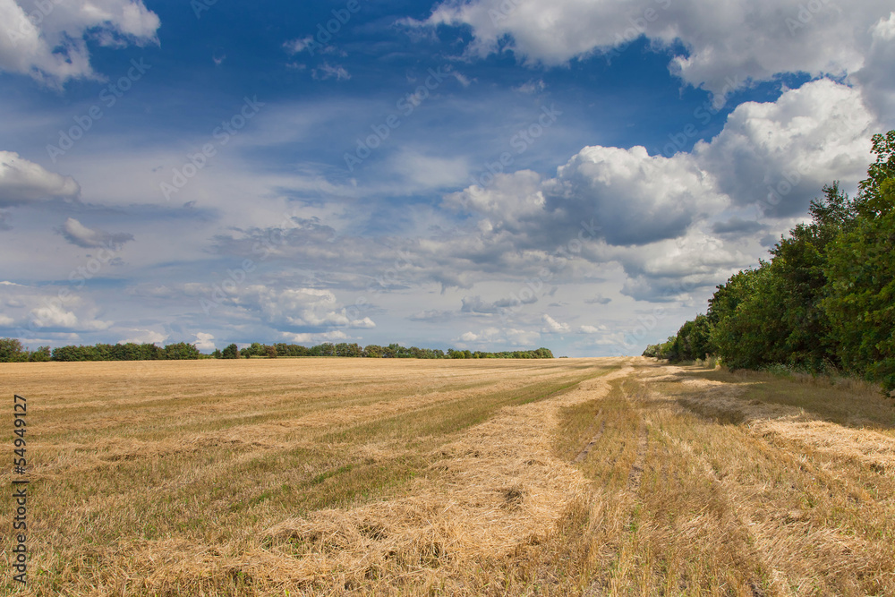 Agricultural landscape Agricultural landscape
