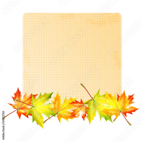 background with autumn leaves and sheet of paper into a cell.aut