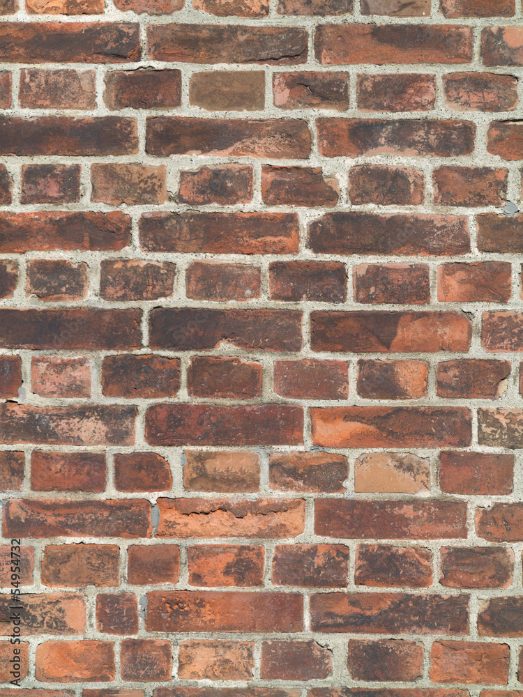 Fototapeta premium レンガの壁