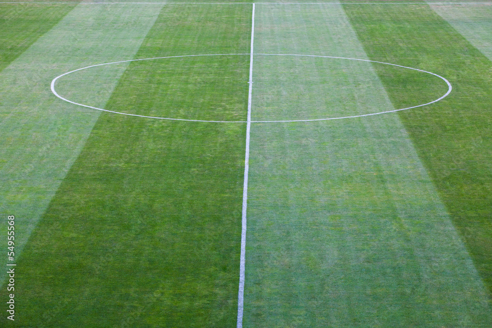 Obraz premium Soccer field