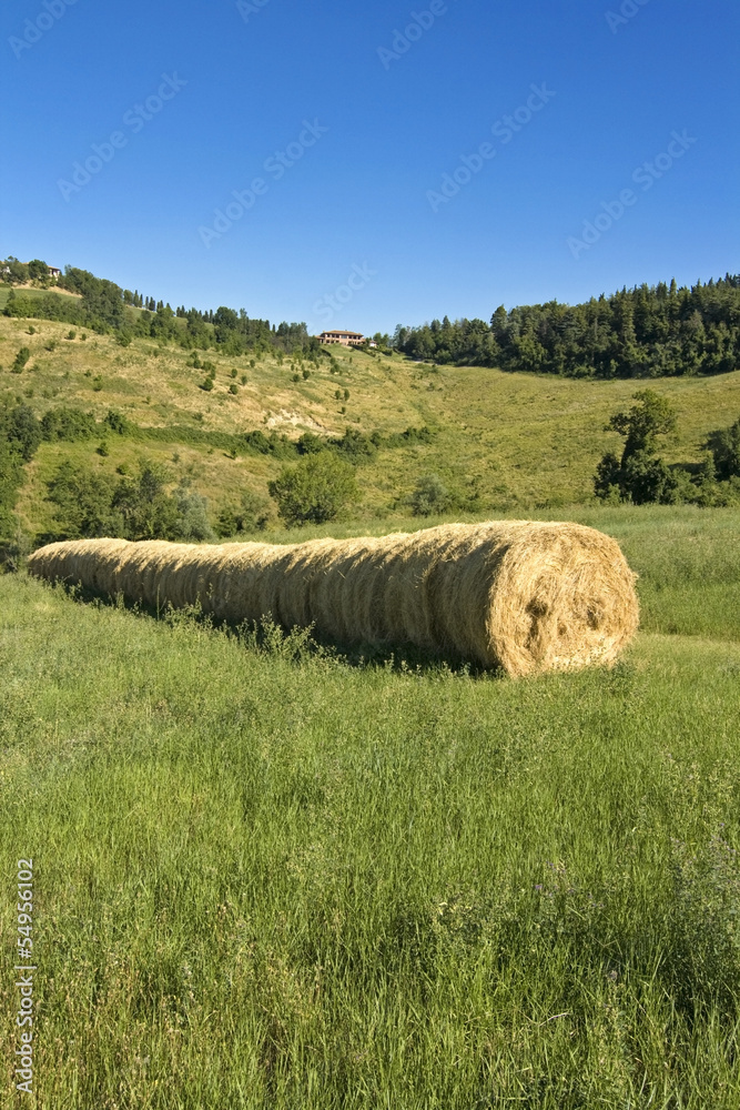 Green landscape scenery