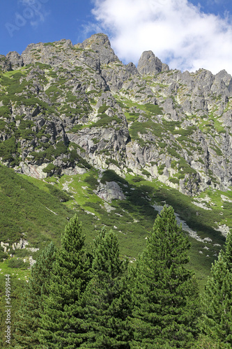 Mala studena dolina - valley in High Tatras  Slovakia