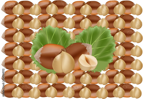 nocciole