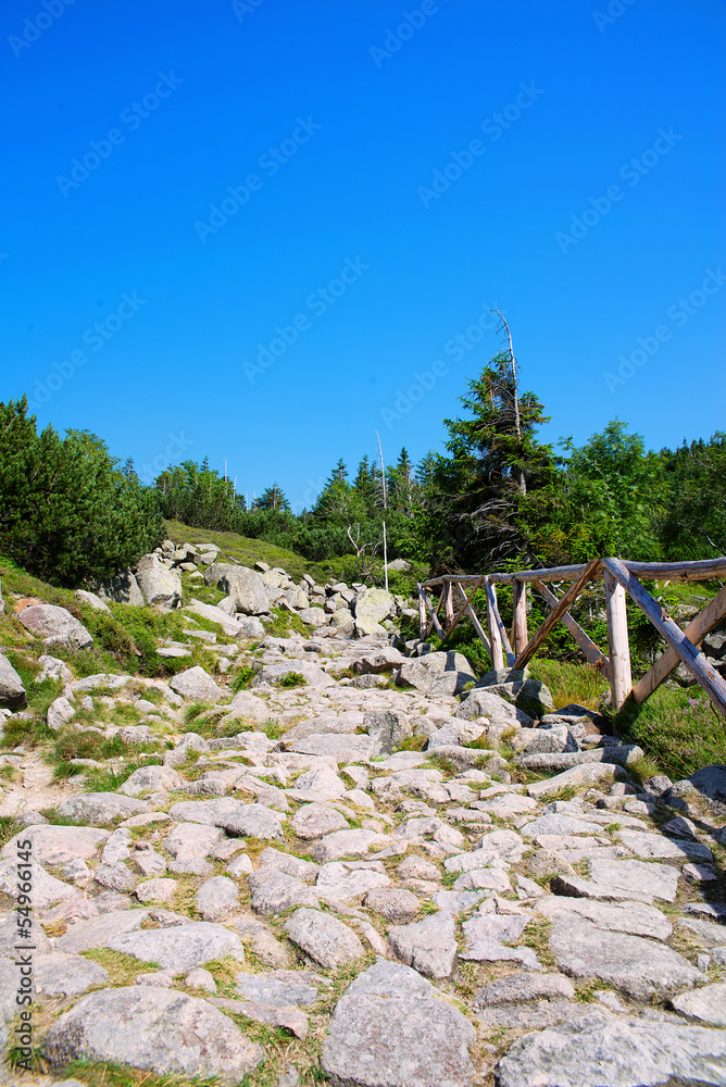 Fototapeta premium Mountain trail in Karkonosze Mountains in late summer, Poland.
