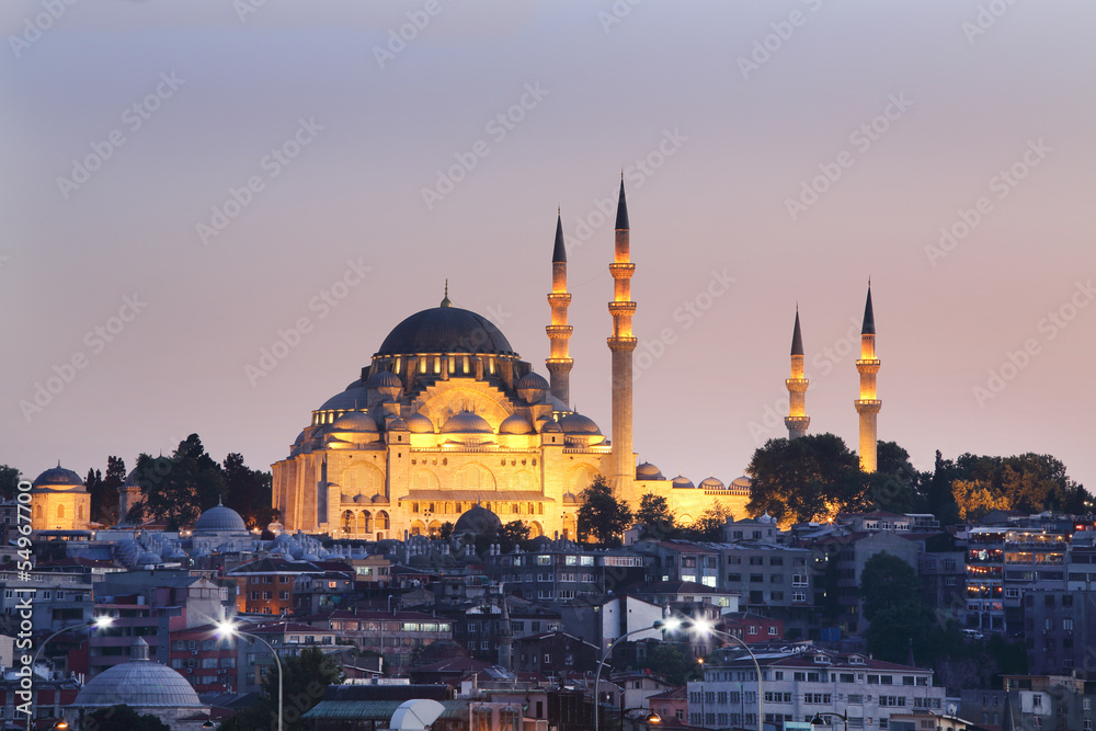 Fototapeta premium Suleymaniye Mosque in Istanbul, Turkey.