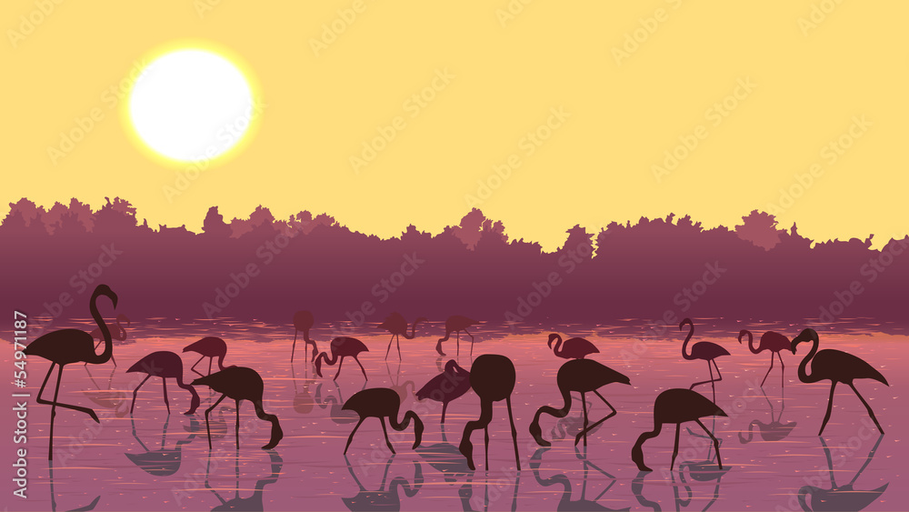 Obraz premium Vector flamingos at sunset in the river.