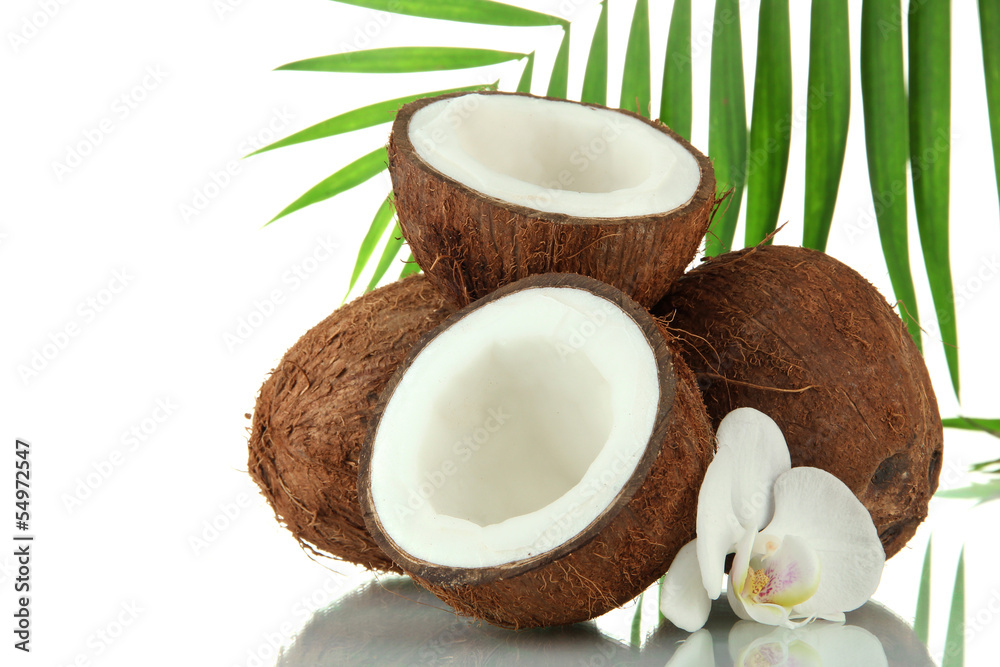 Coconuts with leaves and flower, isolated on white Coconuts with leaves and flower, isolated on white