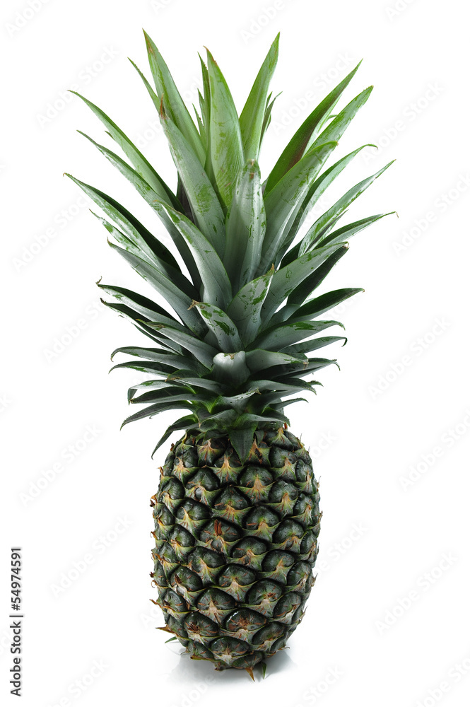 Fototapeta premium pineapple