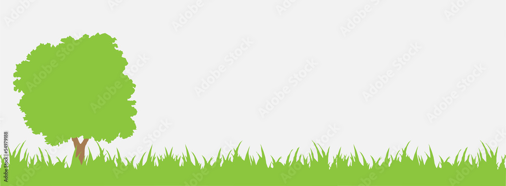 Obraz premium tree grass green