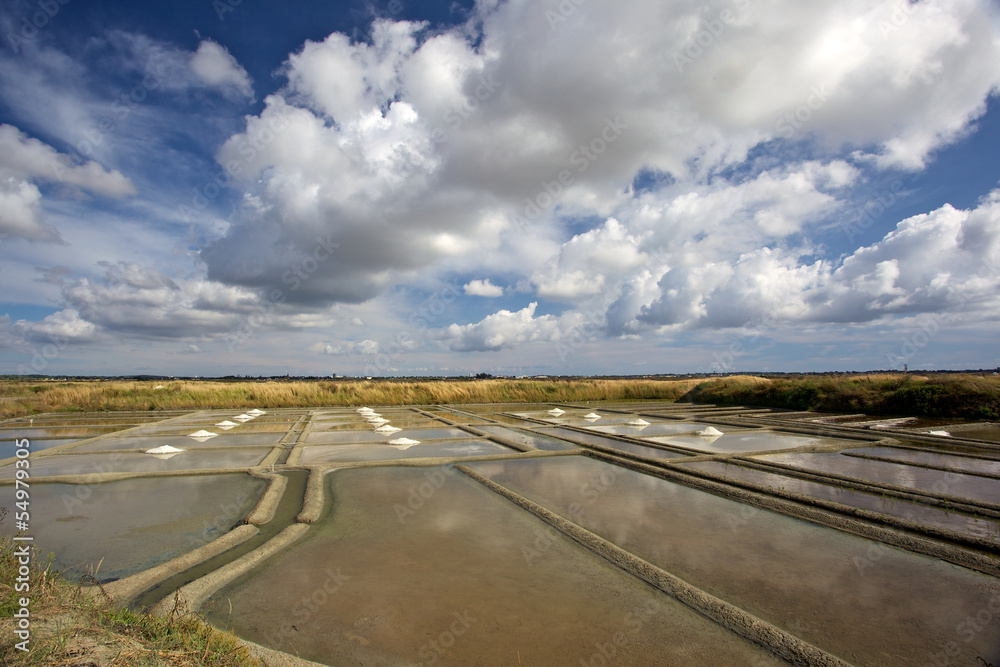 marais salants avec gros sel de Guérande