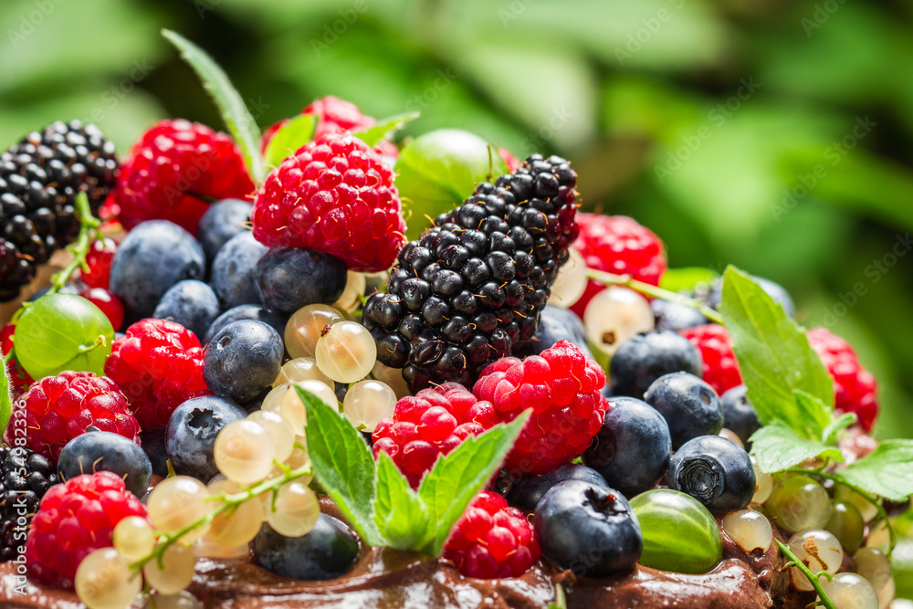 Closeup of wild fresh berry fruits Closeup of wild fresh berry fruits