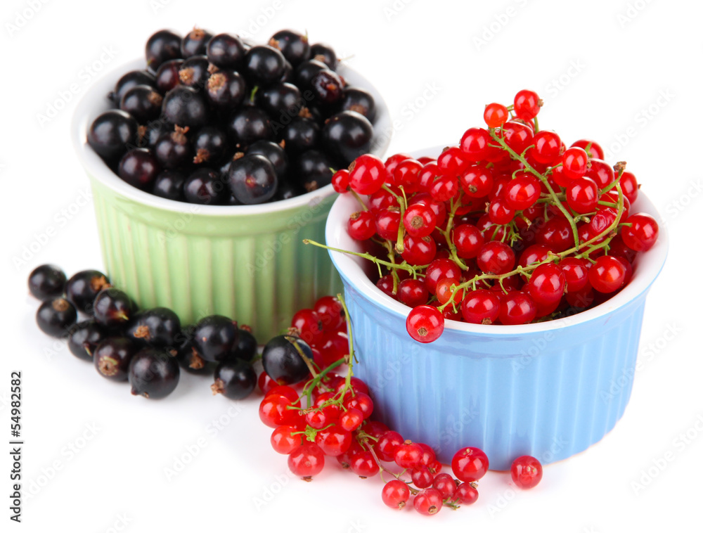 Red and black currant in bowls isolated on white Red and black currant in bowls isolated on white
