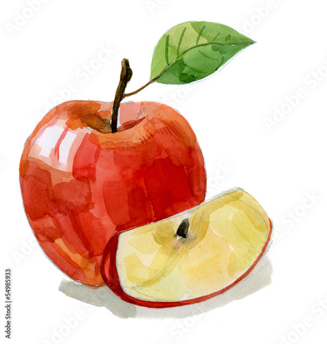 watercolor hand drawn red apple