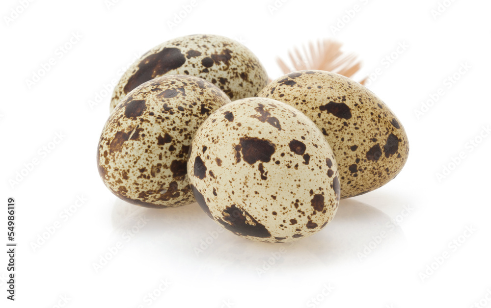 quail egg on white