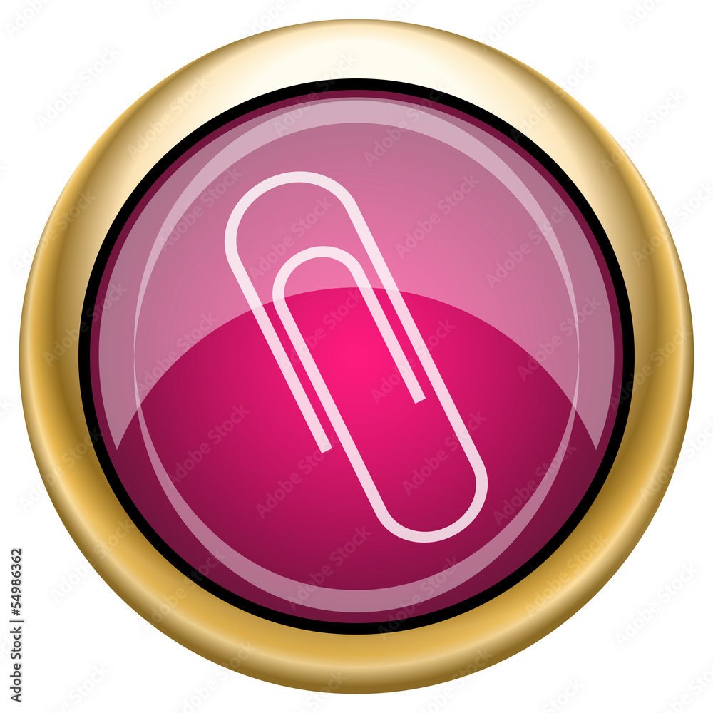 Magenta glossy icon Magenta glossy icon