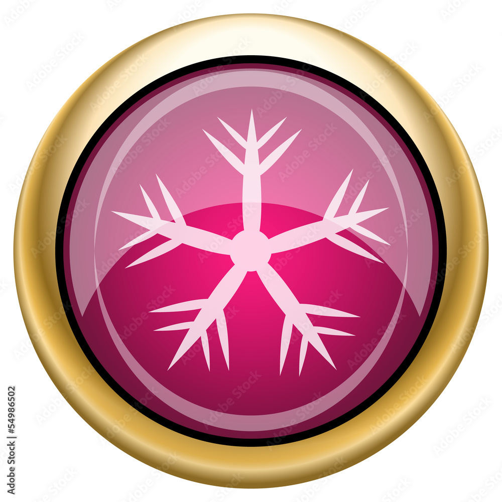 Magenta glossy icon