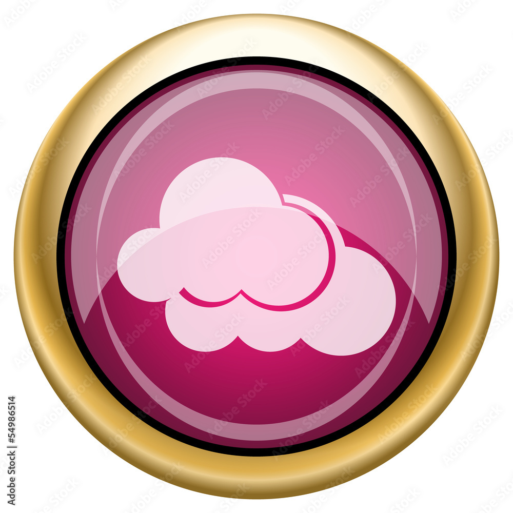 Magenta glossy icon Magenta glossy icon