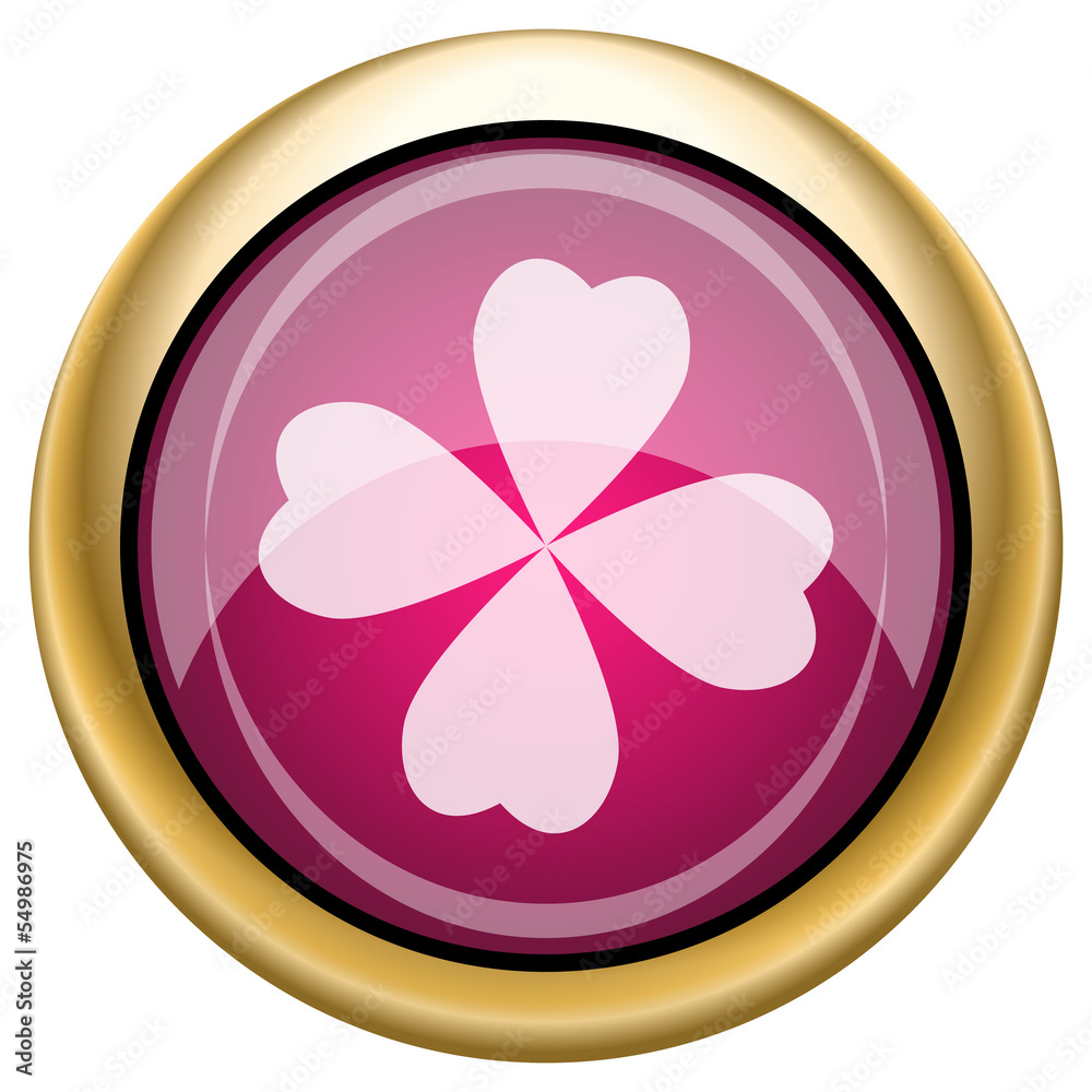 Magenta glossy icon Magenta glossy icon