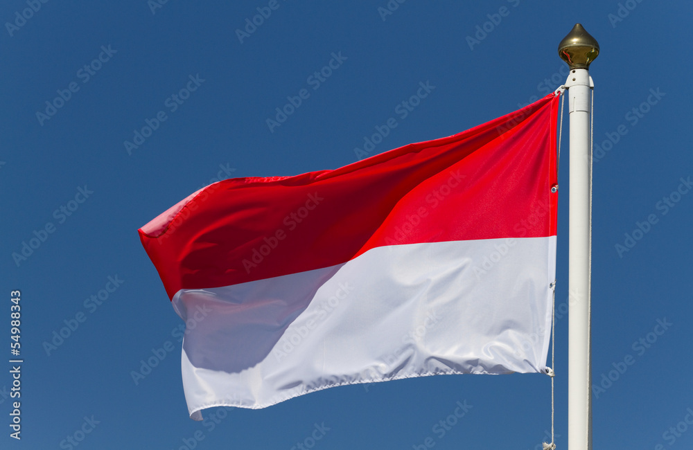 Naklejka premium Polish flag