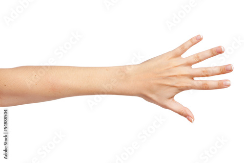 Vászonkép Female hand isolated on white background