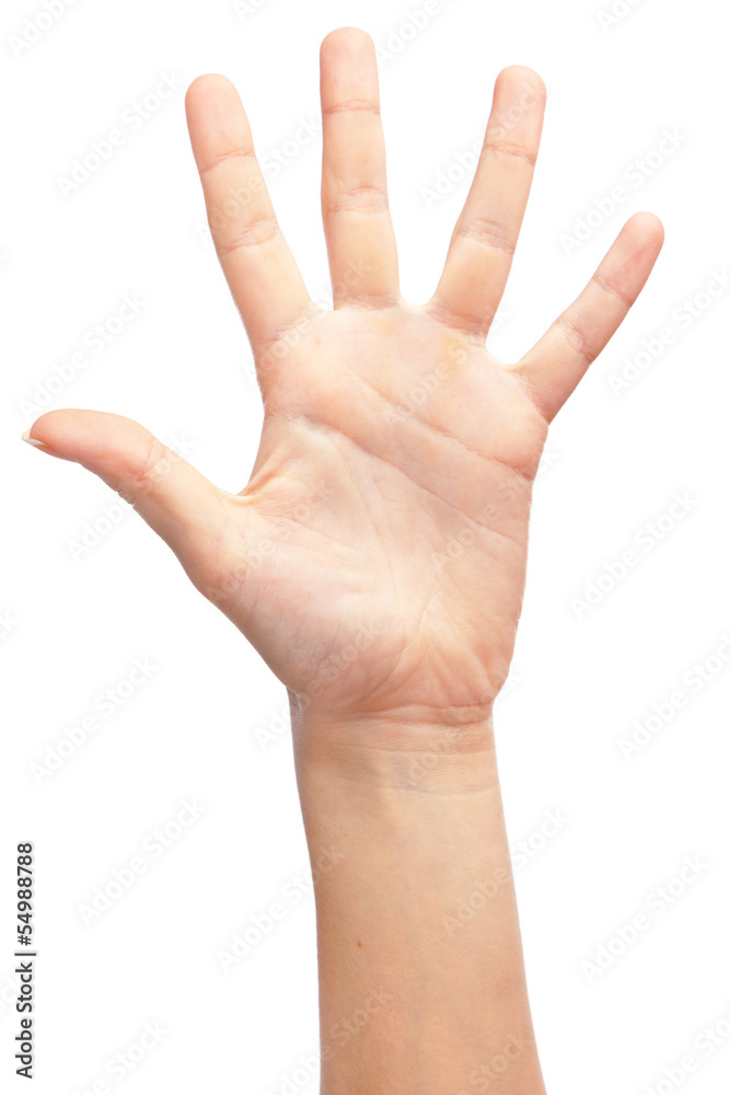 Female hand isolated on white background Female hand isolated on white background