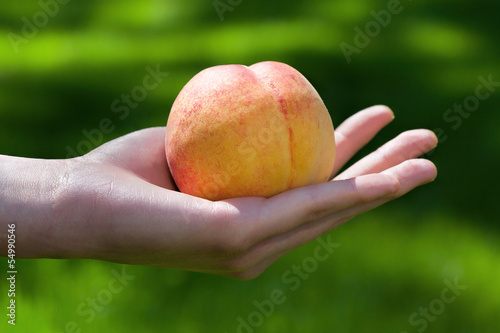 Peach in hand