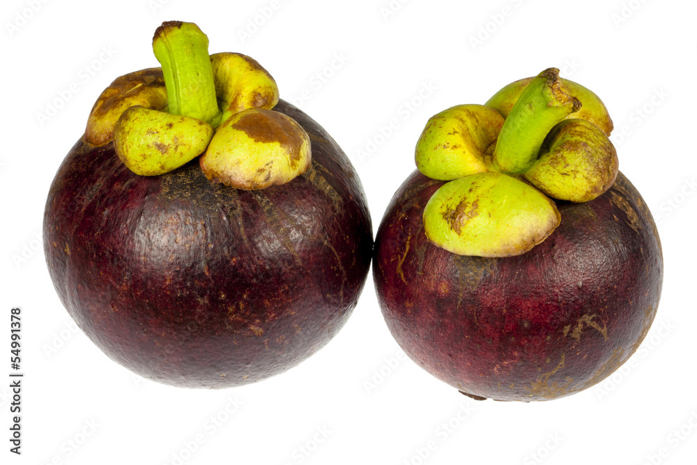 Fototapeta premium mangoesteen