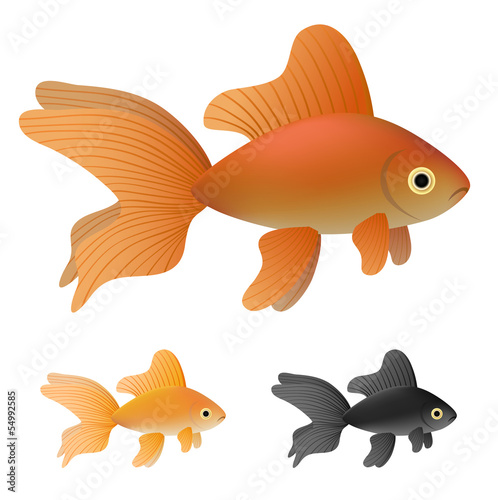 Goldfish set