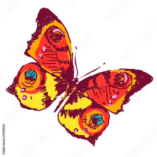 butterflies design