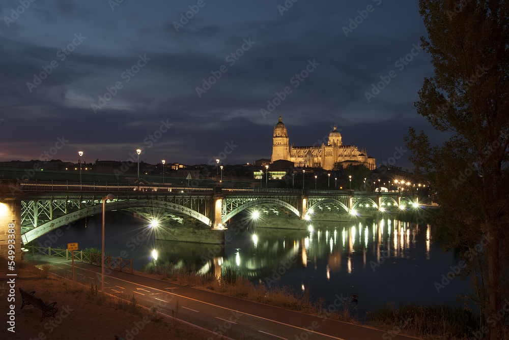 Salamanca Cathedrals at night