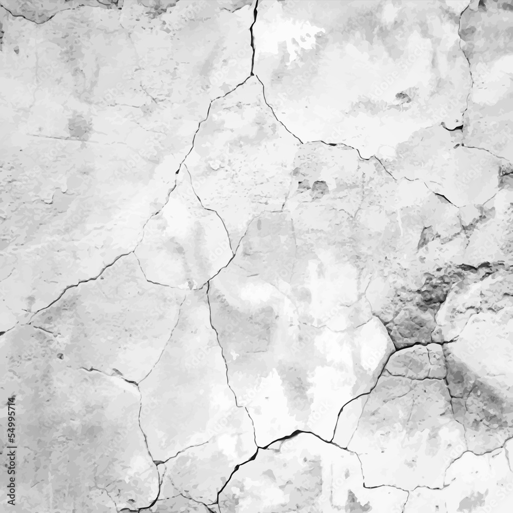 Fototapeta premium old cracked plaster vector texture