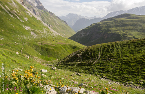 Vall  e pastorale et alpage de Chavi  re