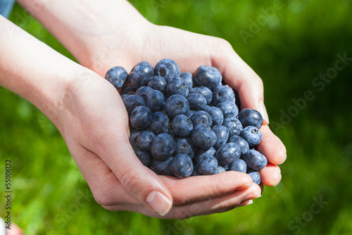 Blueberries © Photographee.eu