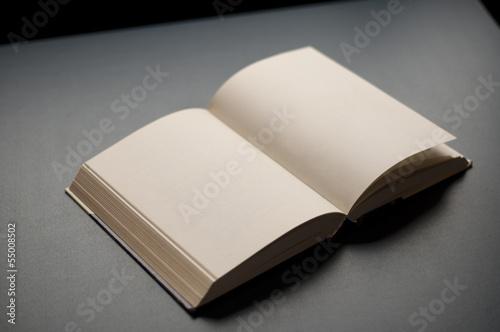 Open book with blank pages