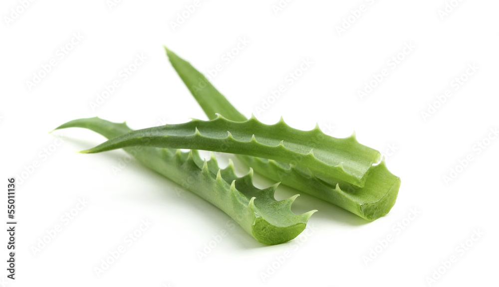 Aloe,fresh leaf. Aloe,fresh leaf.
