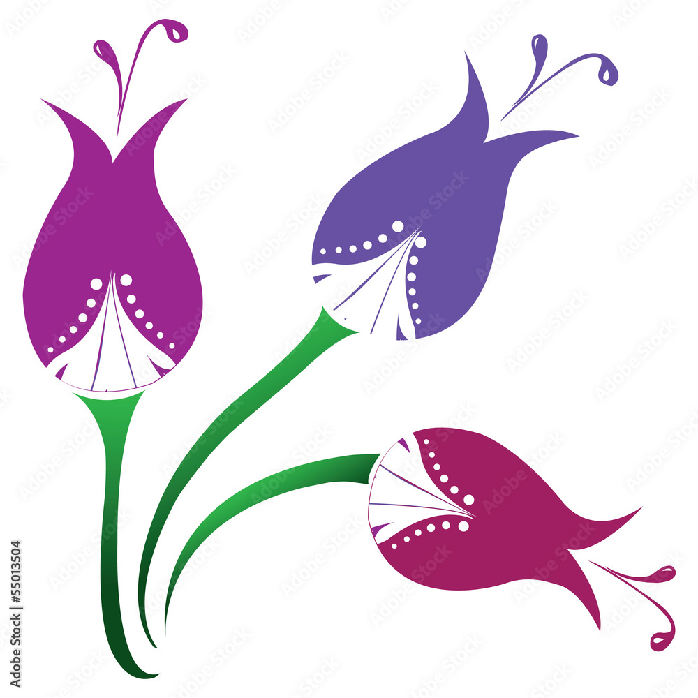 tulip tulip