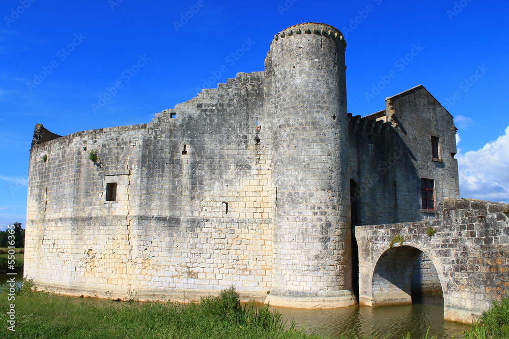 Chateau saint jean d'angle