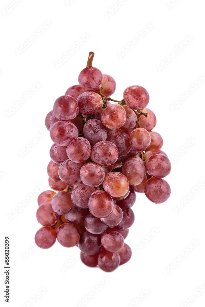 Fototapeta premium red grape