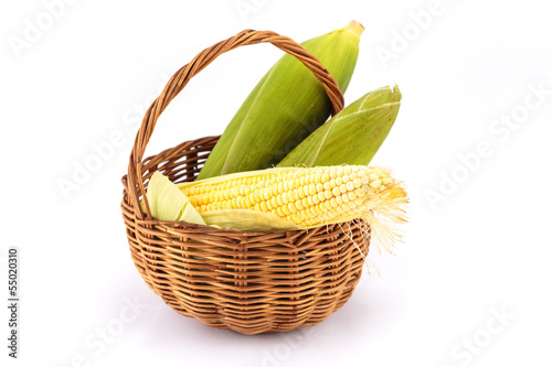 Basket with corns on white background
